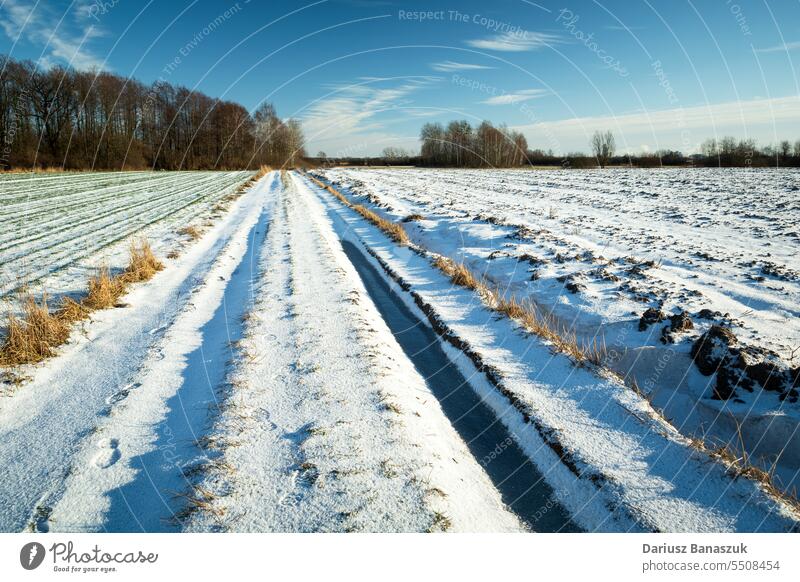 Snow-covered dirt road through the fields rural snow day winter nature frozen weather sky season white cold landscape track ice outdoor blue country countryside