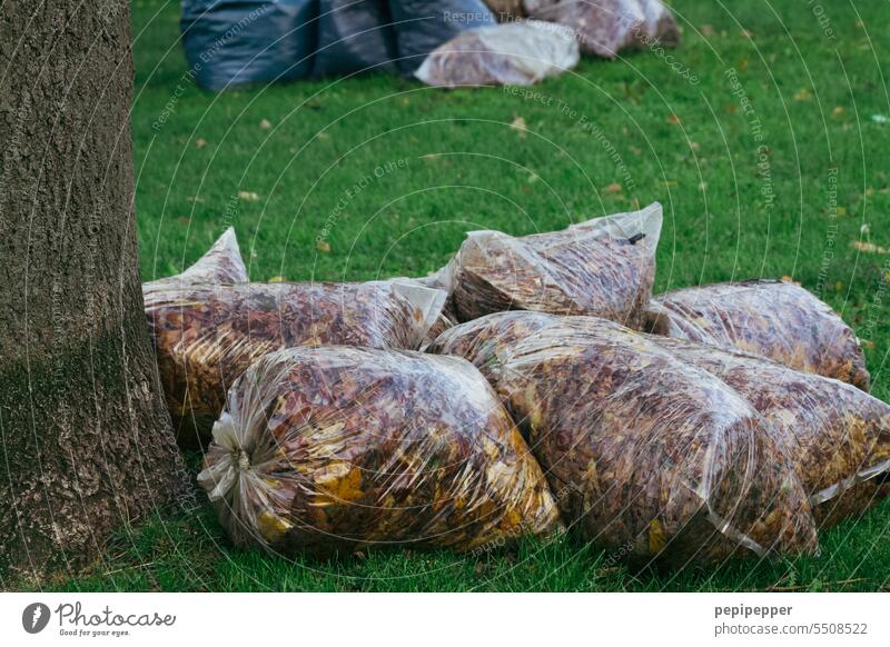 Organic waste - old leaves in plastic bags lie ready for collection on a meadow Biogradable waste foliage Deciduous tree Leaves Nature Autumn Autumnal