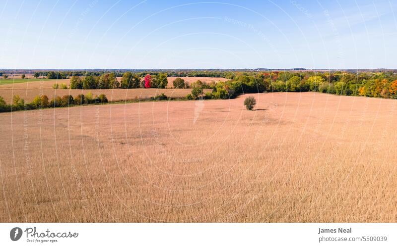 Overhead view of autumn fields in Wisconsin above agricultural agriculture autumn leaf color backgrounds beauty in nature blue bright brown change