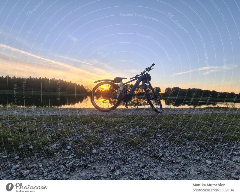 Cycling into the sunset Bicycle Means of transport Transport Street Exterior shot Lanes & trails Deserted Colour photo Day Cycle path In transit Wheel