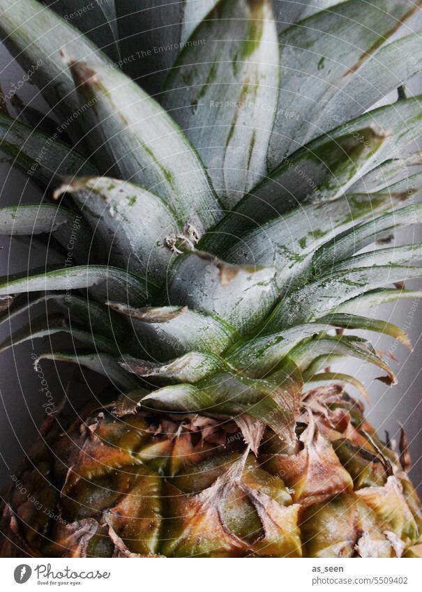 Fresh pineapple Pineapple Fruit fruit leaves shell exoticism exoric Tropical Food cute Healthy Nutrition Delicious Juicy Vegetarian diet Healthy Eating
