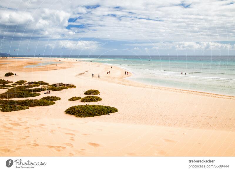 The beautiful sandy beach of Risco del Paso in Fuerteventura with tourists landscape travel scenic nature canary blue ocean atlantic fuerteventura coast sea