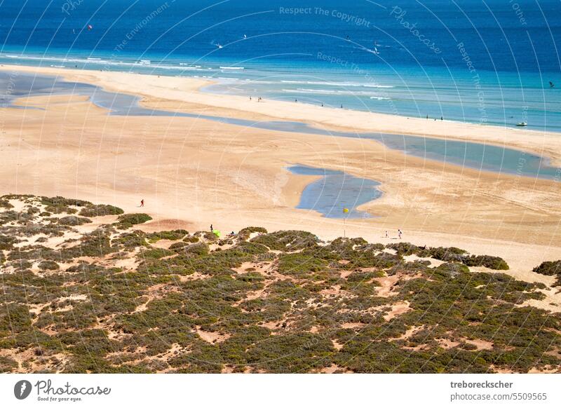 Top view of the large wide sandy bay of Risco del Paso on the Spanish island of Fuerteventura beach risco del paso fuerteventura spanish atlantic canary islands