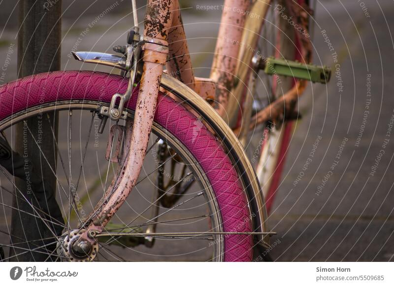 old bike in pink and pink colors Bicycle Pink Mobility Alternative Lifestyle Transport urban Means of transport Leisure and hobbies gender gender-specific