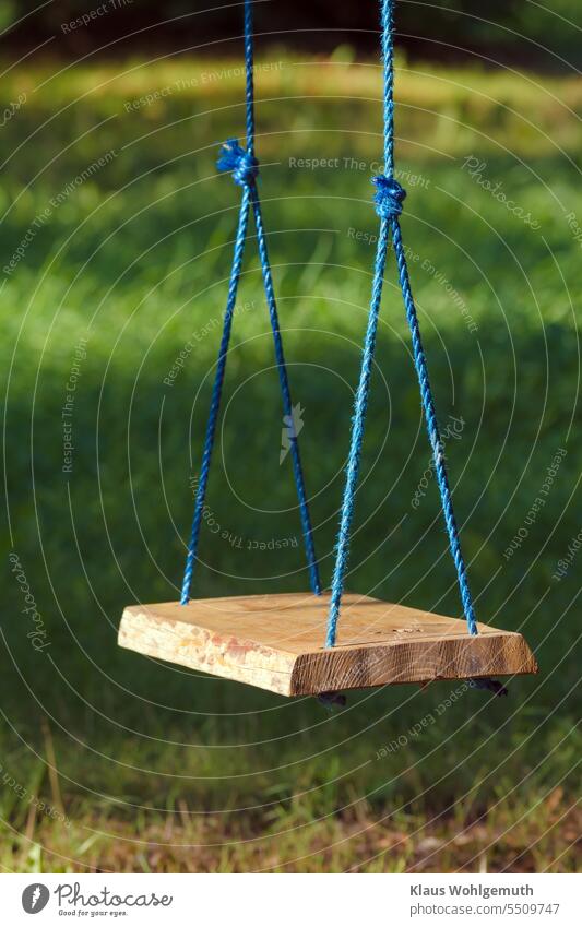 A children's swing hangs from a strong branch in the park. Early in the morning, the little rascals are not yet on the playground. A solid board and strong blue ropes so-called for the necessary Scherheit when playing.