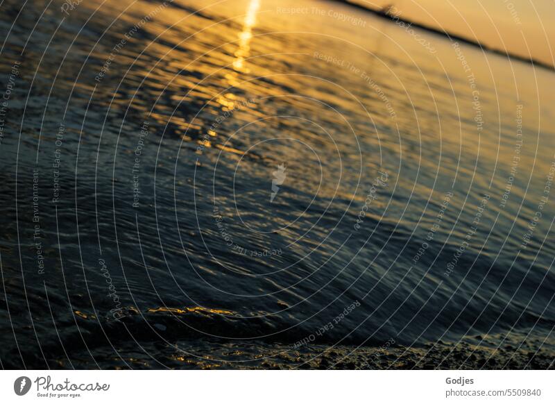 Evening sun reflecting on the water surface Water wave water movement Undulation Wave action Waves coast Surface of water Swell Water reflection Exterior shot