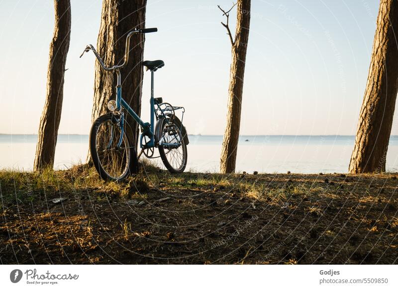 Blue bike leaning against a tree Bicycle mini wheel vacation Water Sky Vacation & Travel Beach Summer coast Exterior shot Colour photo Clouds Tourism Ocean