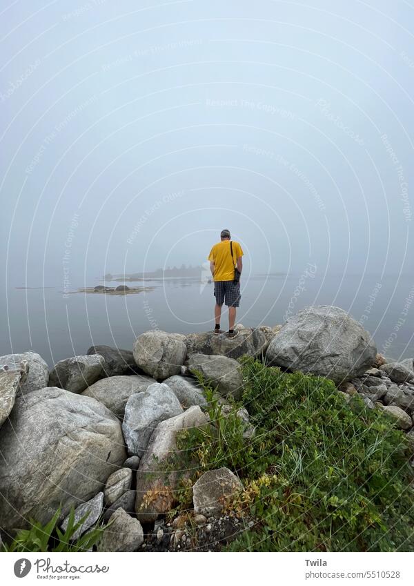 Man looking out on a foggy coast Foggy Foggy landscape foggy morning Exterior shot Moody Misty atmosphere Nature Coastline rocky Quiet