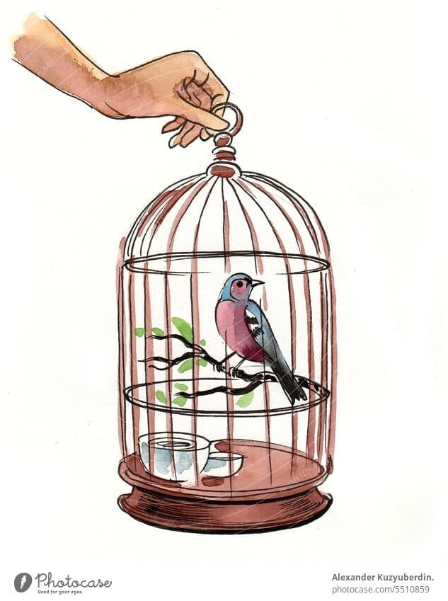 Hand holding a cage with a bird. Watercolor sketch background birdcage clip art design drawing drawn elegant flower hand illustration isolated retro romantic