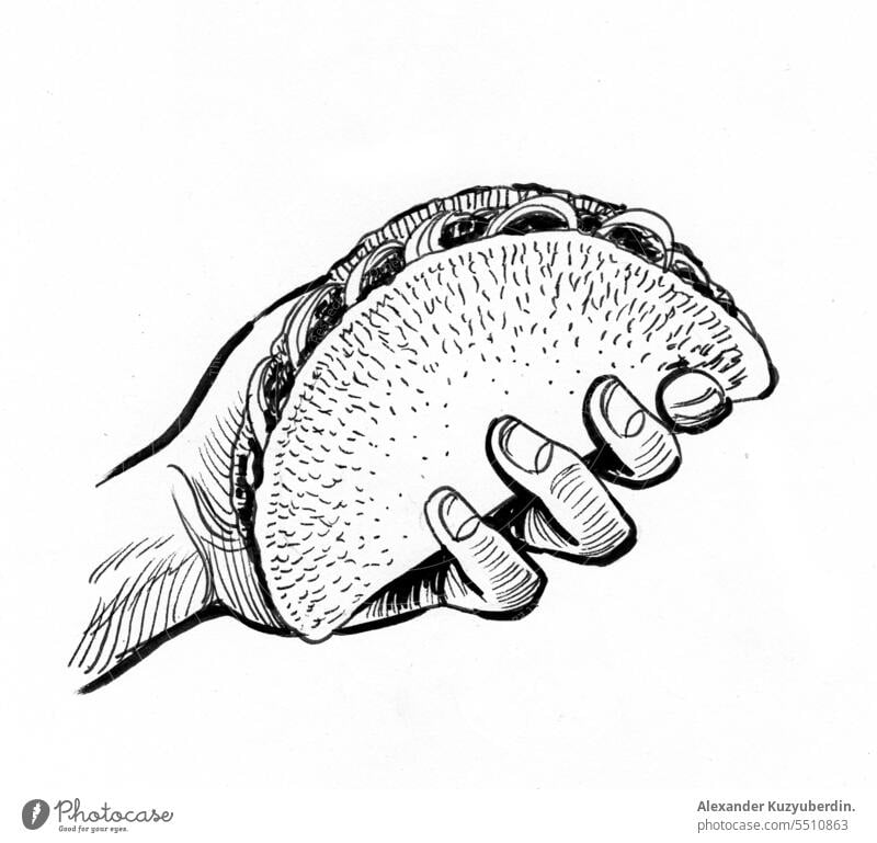 Hand holding a taco. Black and white ink illustration background beef cheese cuisine delicious design dinner drawing drawn fast food hand hot ingredients line