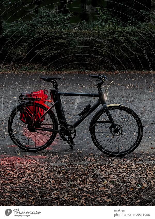 bike Evening darkness Bicycle Rear light Light and shadow reflection foliage sore Gravel Green Red Hedge Exterior shot Deserted Autumn Moody