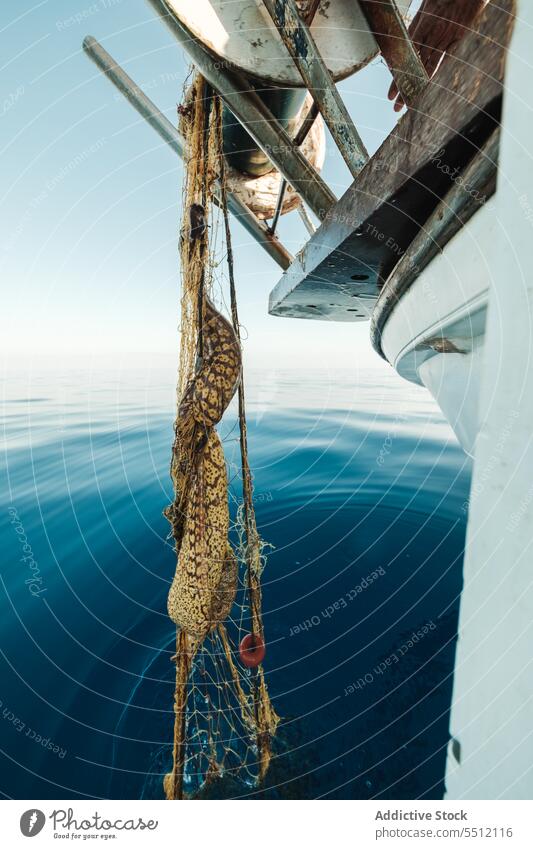 Mediterranean moray fish hanging in net on sailing boat mediterranean moray muraena helena roman eel catch fishing tradition tackle schooner soller