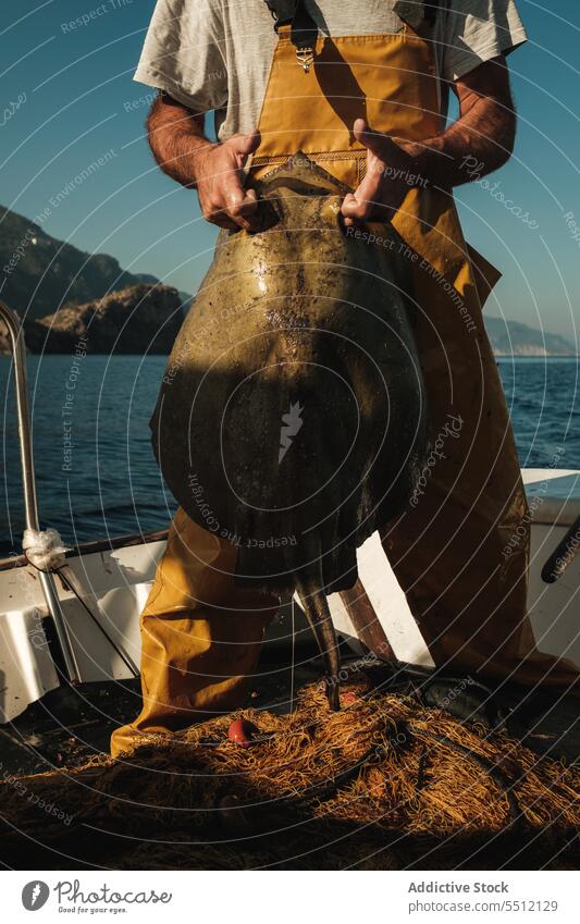 Unrecognizable fisherman with sea stingray on boat float fishing summer nature water vessel male spain soller mallorca marine transport yacht sail sunlight