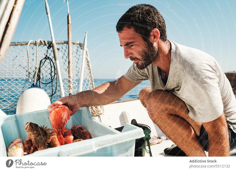 Concentrated fisherman near container with fish boat fishing summer sea serious concentrate vessel male soller mallorca balearic island hispanic ethnic water