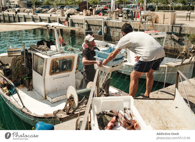 Hispanic men giving and receiving boxes with fish give receive water sea fishing ocean together male soller balearic island mallorca marine hispanic ethnic aqua