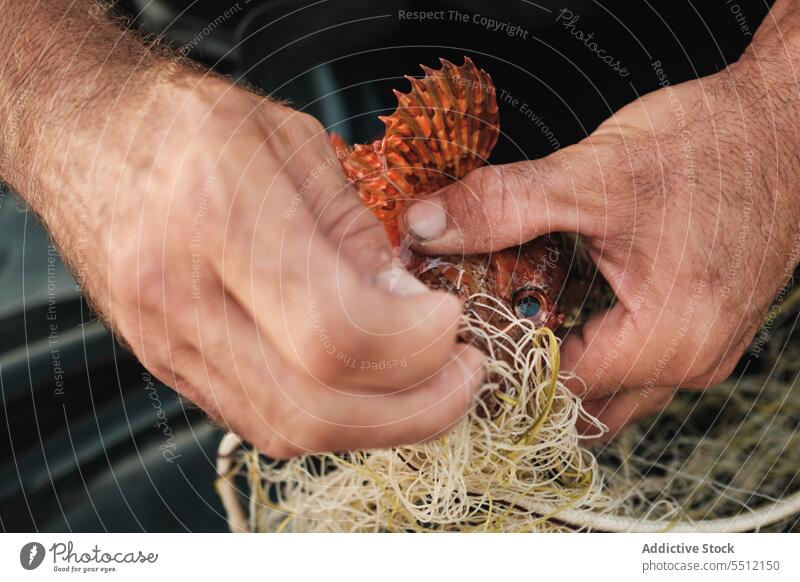 Anonymous man hand untangling fishing net threads to catch fish in daylight fisherman boat water deck equipment nature male transport outside wet aqua summer