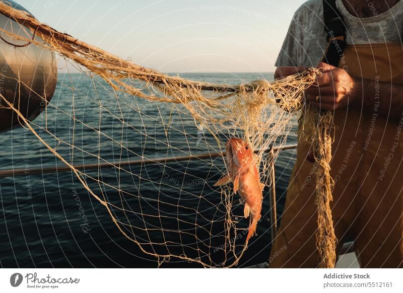 Anonymous fisherman with caught Red fish red catch net fishing tradition male soller balearic islands mallorca seaman sailor seine fish hunt schooner trawler
