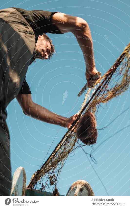 Fisherman taking sea food out of net on sail boat fisherman sailor catch sea urchin seafood tradition fishing collect male soller balearic islands mallorca
