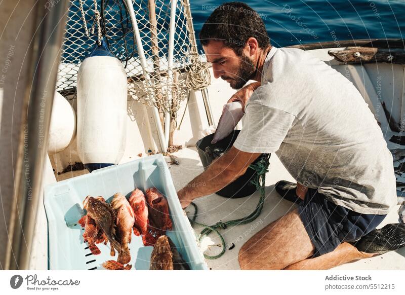 Concentrated fisherman near container with fish boat fishing summer sea serious concentrate vessel male soller mallorca balearic island hispanic ethnic water