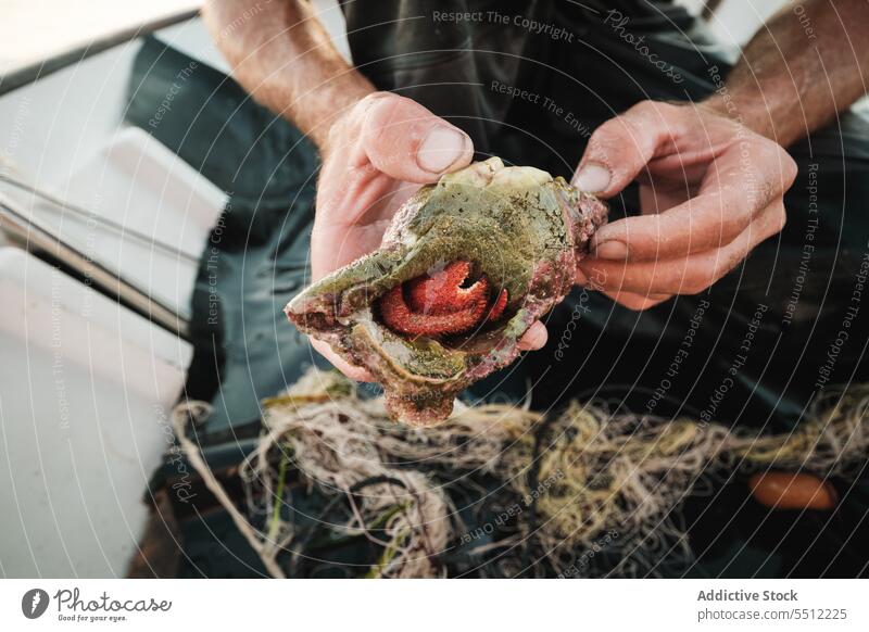 Anonymous ethnic man sitting on deck with mollusk fishing net catch focus summer male young hispanic fisherman daytime concentrate nature daylight equipment