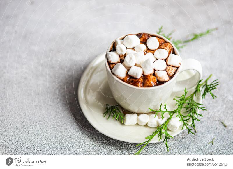 Cup of aromatic Christmas drink on plate marshmallow cocoa cup branch fresh christmas twig fir mug coniferous dessert beverage cacao delicious sweet sugar yummy