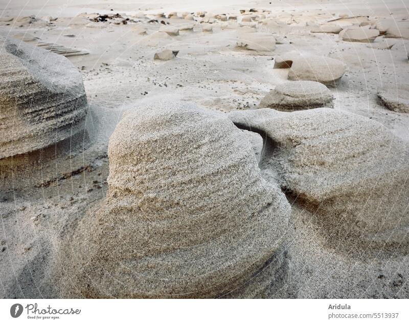 Sand sculptures on the beach, shaped by wind and waves Beach North Sea Sculpture Ocean coast Nature Structures and shapes Vacation & Travel Landscape Tide