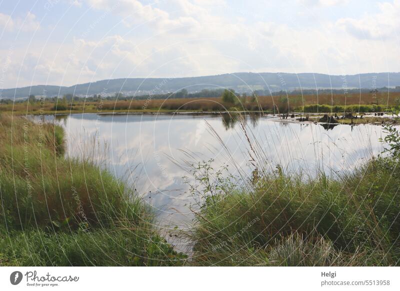 Moor lake with grasses on the shore, Wiehengebirge in the background Bog Wiehen Mountains reflection Landscape Nature Environment naturally moorland Water