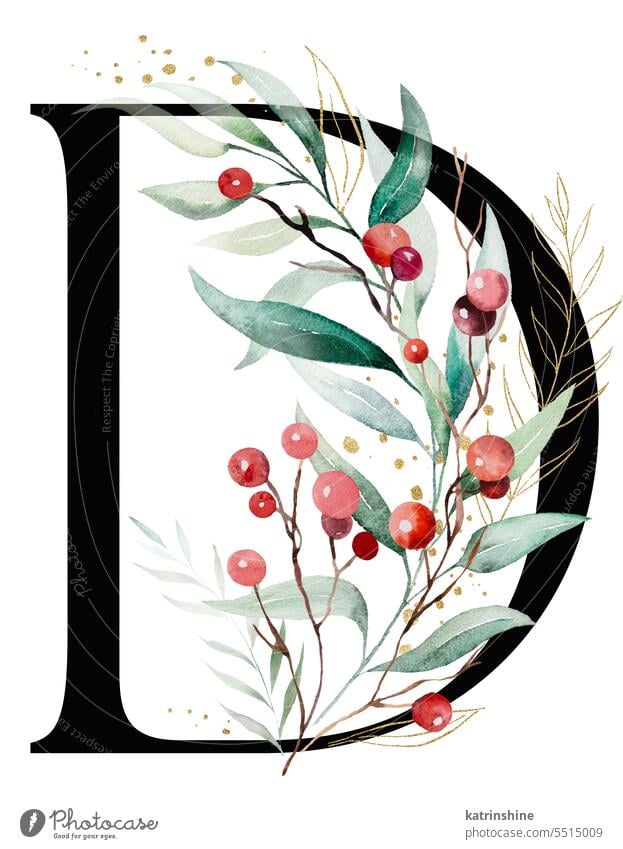 Black letter D with watercolor twigs with green and golden leaves and red berries, Christmas isolated Illustration Decoration Drawing Element Hand drawn Holiday