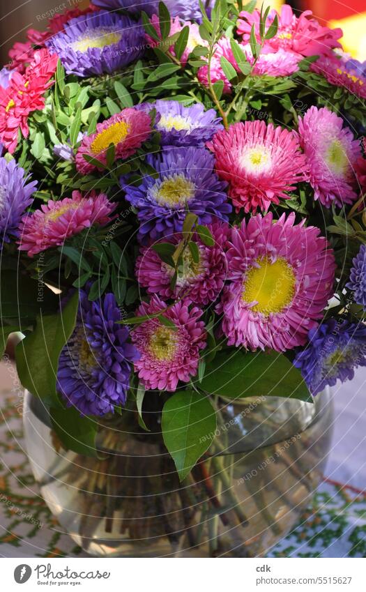 Aster la vista! | Autumn flower bouquet with pink and purple asters. autumn flowers autumn bloomer Autumn flowering Autumnal Early fall Seasons seasonably