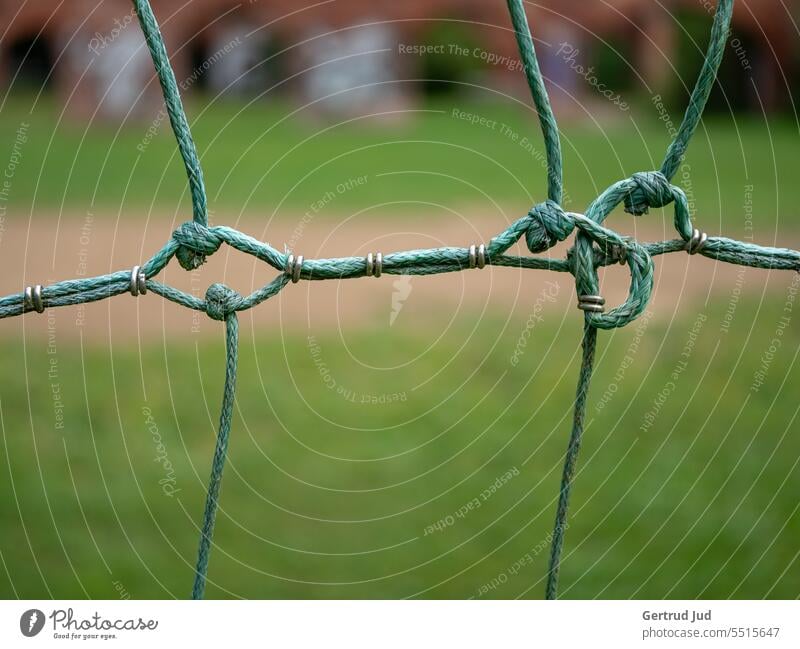 through the fence structure Fence Construction Outdoors Building Old Wire netting fence Wire fence Meadow Nature naturally Landscape