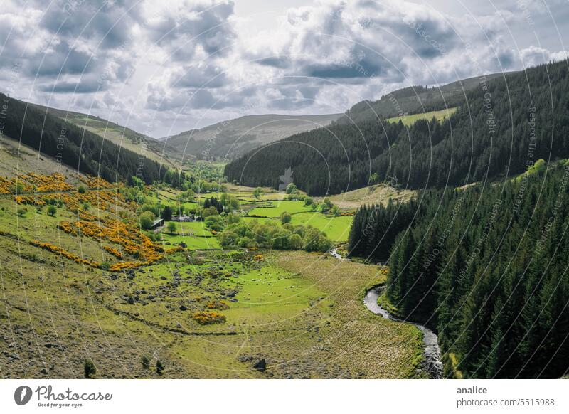 Ireland valley landscape with trees, mountains and river Mountain Landscape River creek Field Valley Green Nature travel Trees Forest view scenic outdoor