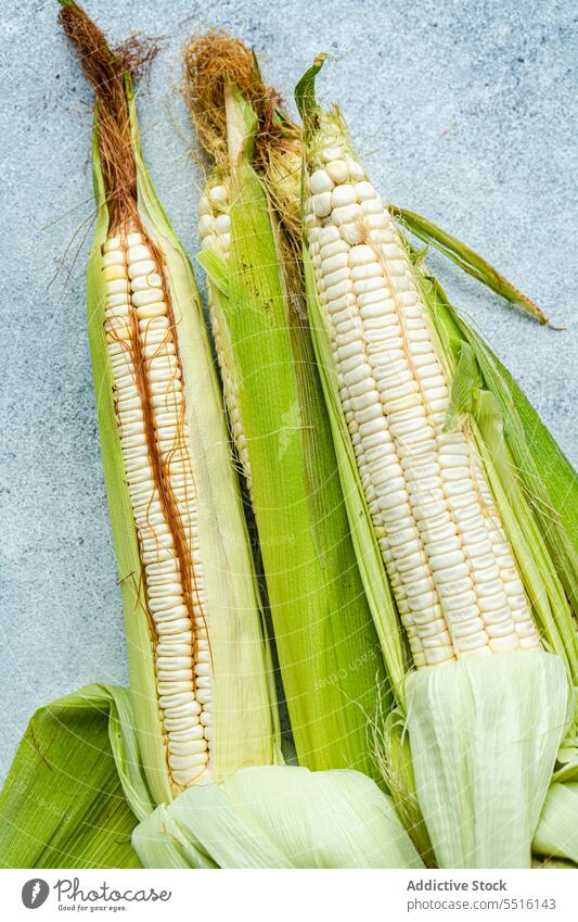 Corn on gray surface corn husk farm vegetable raw harvest agriculture plantation maize fresh food ripe cultivate healthy nutrition tasty daylight ingredient