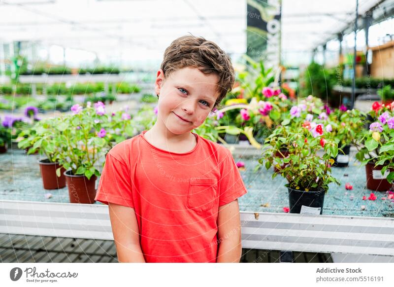 Kid standing and looking at camera against green flowering potted plants in greenhouse child boy blossom admire bloom flora summer kid preteen casual shirt