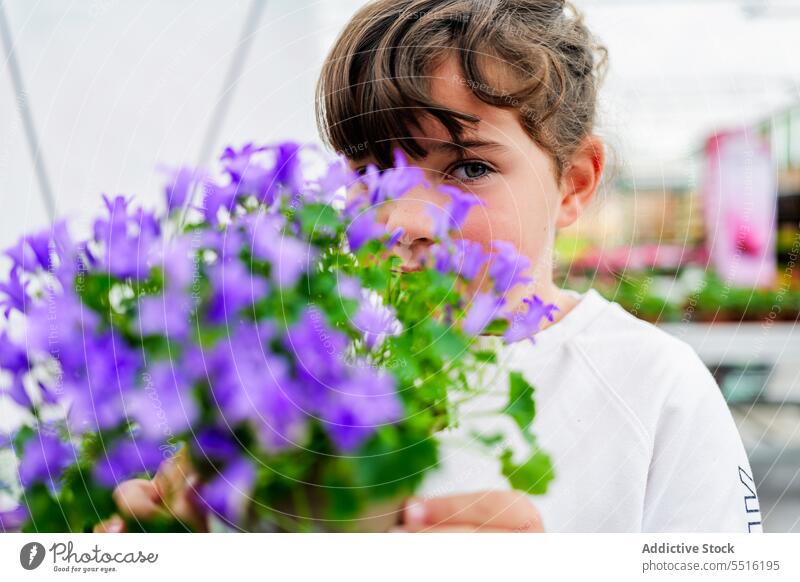 Cute child behind blooming flowers potted plant in hands in glasshouse girl bellflower leaf adorable violet summer greenhouse kid preteen garden flora botany