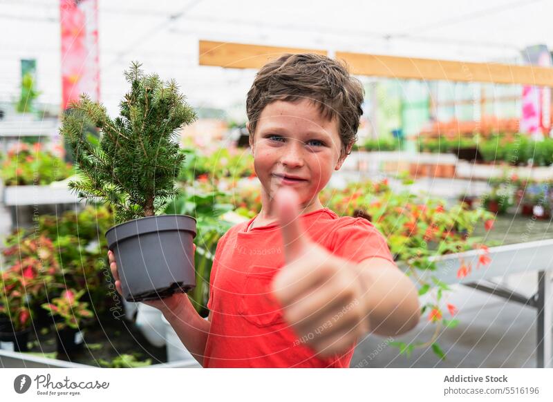Cheerful kid standing with green leaves pot and showing thumb up boy plant smile child happy greenhouse cheerful joy organic growth botany horticulture