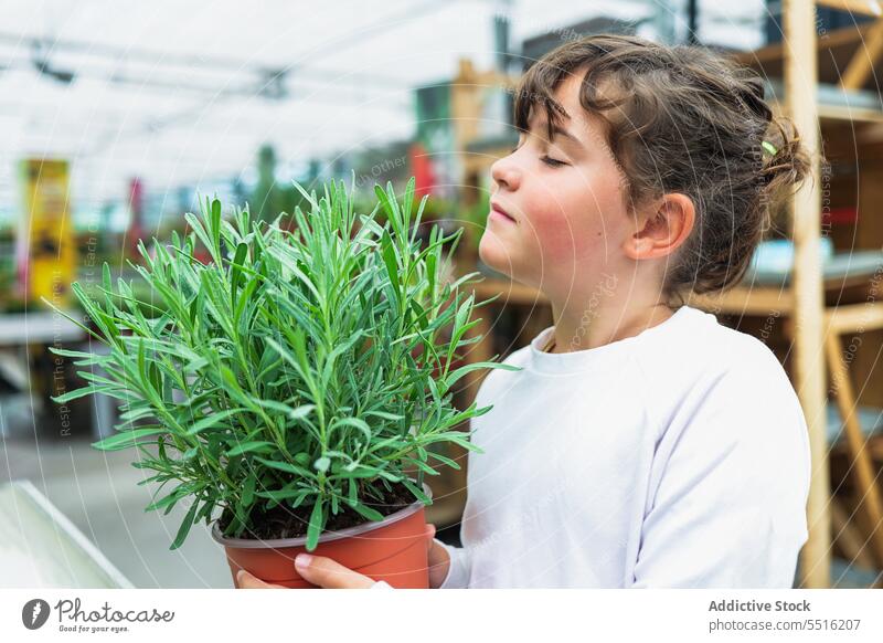 Adorable kid standing and smelling fragrant herbal plant girl aroma scent eyes closed greenhouse summer child preteen sniff leaf fresh aromatic enjoy potted