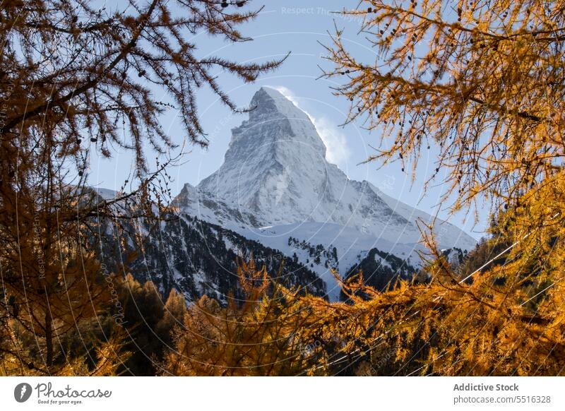 Mountain ridge with trees under blue sky mountain switzerland landscape forest rock nature coniferous valley range highland majestic fall autumn scenic cloudy