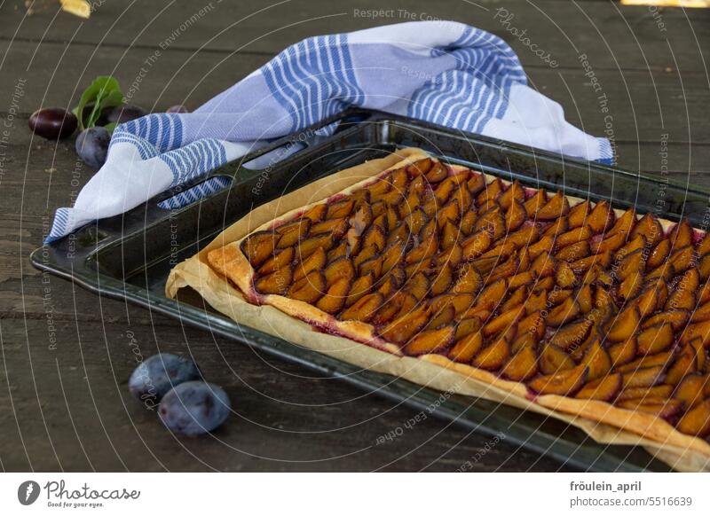 Appetizer | plum cake on sheet and cloth on a wooden table Plum Cake Baked goods Baking Delicious Dough To have a coffee Eating Food cute Nutrition Fruit