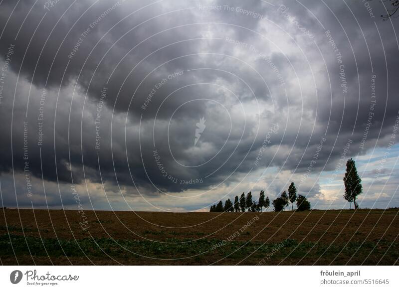 Oh look, a little cloud | gray rain clouds over a field with row of trees Weather Rain Rainy weather Raincloud Bad weather Nature Climate Sky Storm Clouds Gale
