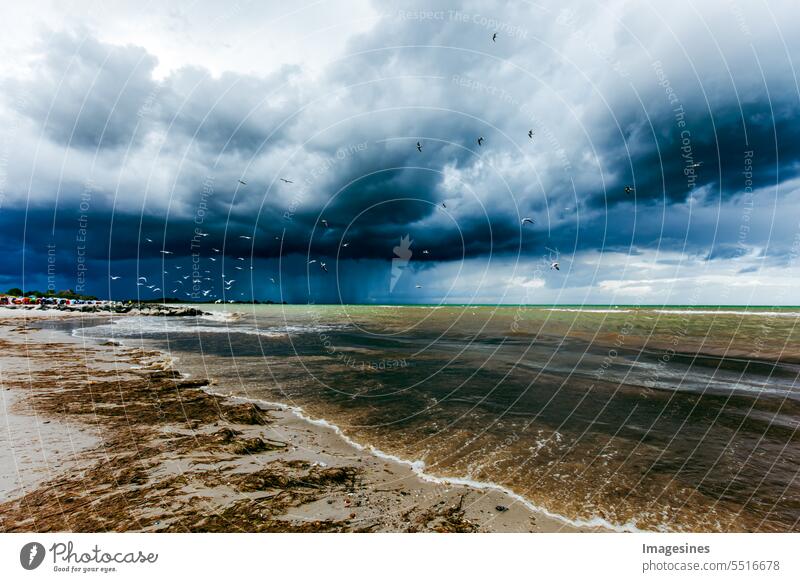 Thunderclouds over the sea. Coastal landscape in Germany. Baltic Sea with dramatic sky Storm clouds Sea. coastal landscape Dramatic Sky birds Terns