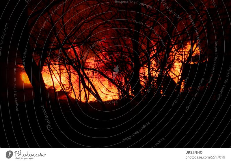 Fire - it burns brightly in the middle of the night - the flames destroy trees and bushes blaze abashed Warmth Hot Burn Red Orange background Frame Bushes Blaze