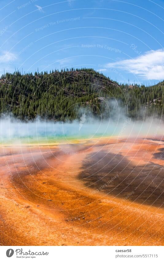 Famous Grand Prismatic Spring basin in Yellowstone National Park water lake prismatic spring orange red vapor wood yellowstone heat bacteria soil background