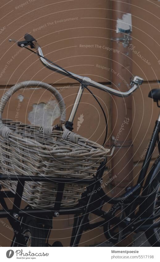 bicycle Bicycle Basket Environmental protection Leisure and hobbies Athletic Street In transit Cycling tour Movement Means of transport Mobility Eco-friendly