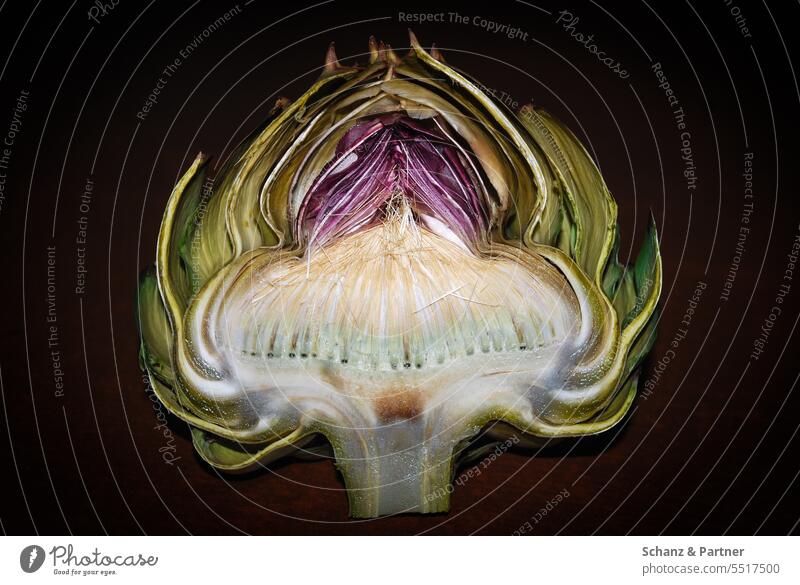 Cross section through an artichoke Vegetable Eating salubriously detail Nutrition Delicacy Green Vegetarian diet Fresh Food Delicious Garden Isolated Image