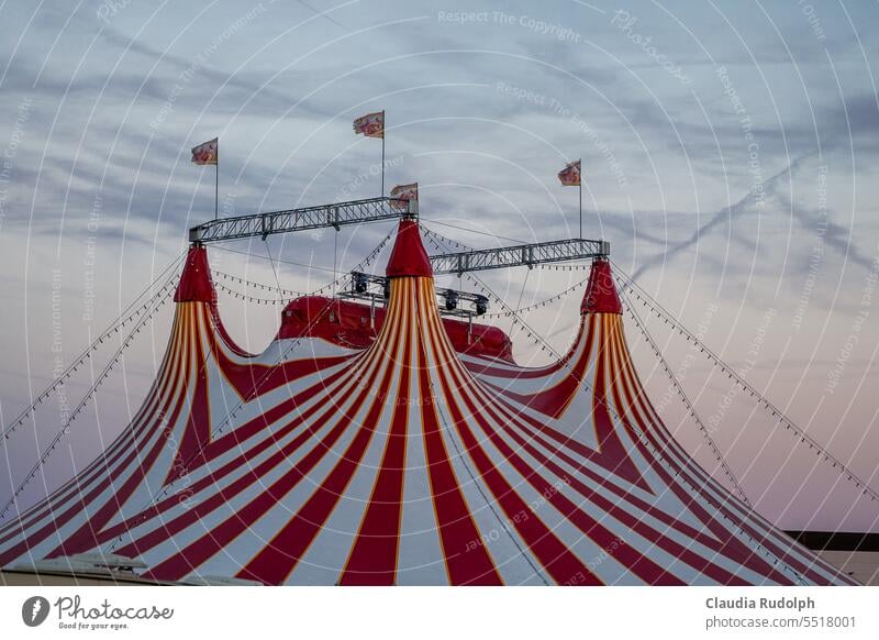 Roof of red and white striped circus tent against evening sky Circus Circus tent Sky Tent Event Shows Entertainment Culture Fairs & Carnivals Clouds Point