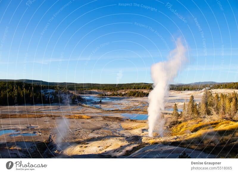 Norris Geyser Basin in Yellowstone National Park USA nature landscape usa steam wyoming basin geyser yellowstone water heat geothermal hot