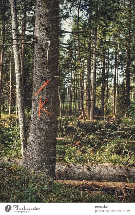 weg damit! | K muss weg Bäume Wald Zeichen Holzwirtschaft Holzfällen Landschaft Baum beseitigen Forstwirtschaft Buchstabe Schriftzeichen Symbol Markierung