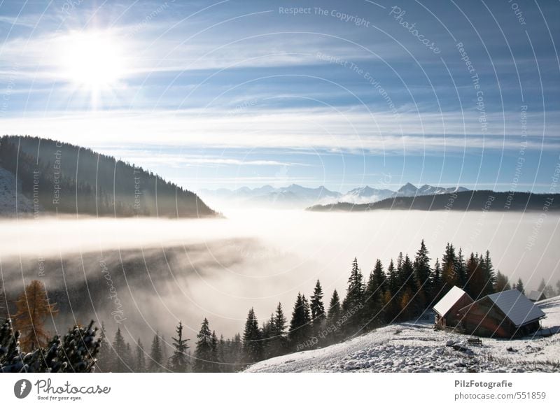Above the fog line Hut Alpine pasture Nature Sky Sun Autumn Beautiful weather Fog Snow Meadow Forest Alps Mountain Peak Relaxation To enjoy Contentment