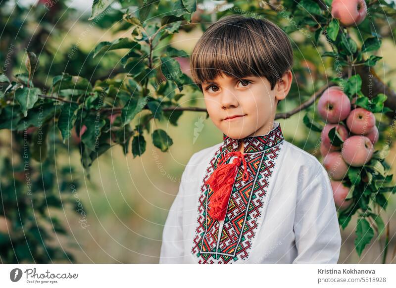 Portrait of handsome ukrainian boy in apple orchard.Child traditional embroidery happiness kid summer ukraine field happy background brothers childhood children