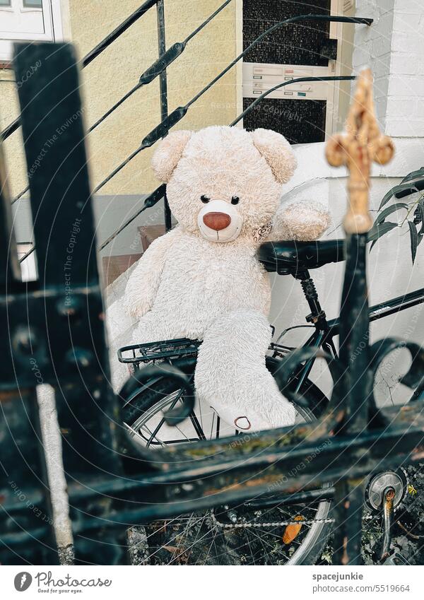 Drunken teddy Bicycle Exterior shot Deserted Colour photo Mobility blurriness Means of transport Parking Entrance door House (Residential Structure) Fence
